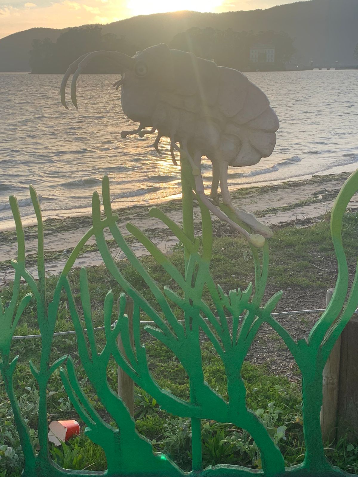 PHOTO 2023 03 12 20 01 44