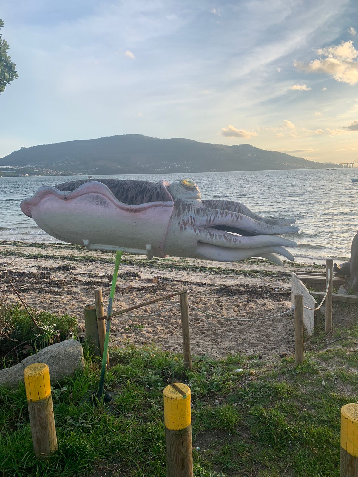 PHOTO 2023 03 12 20 01 45