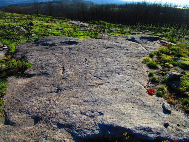 Xampardino. Fornelos 768x576