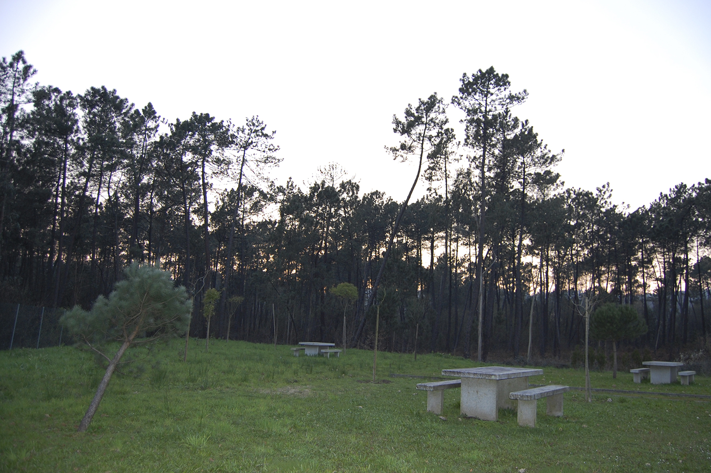 Castro de Torroso 11