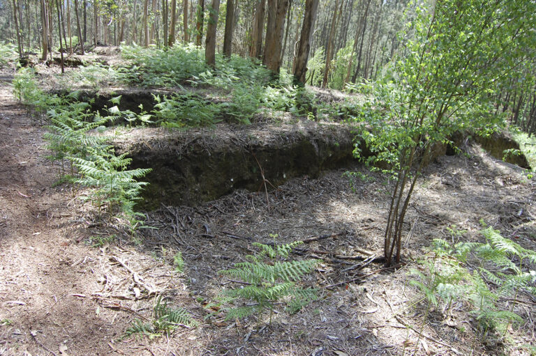 Castro de Torroso 4 768x511