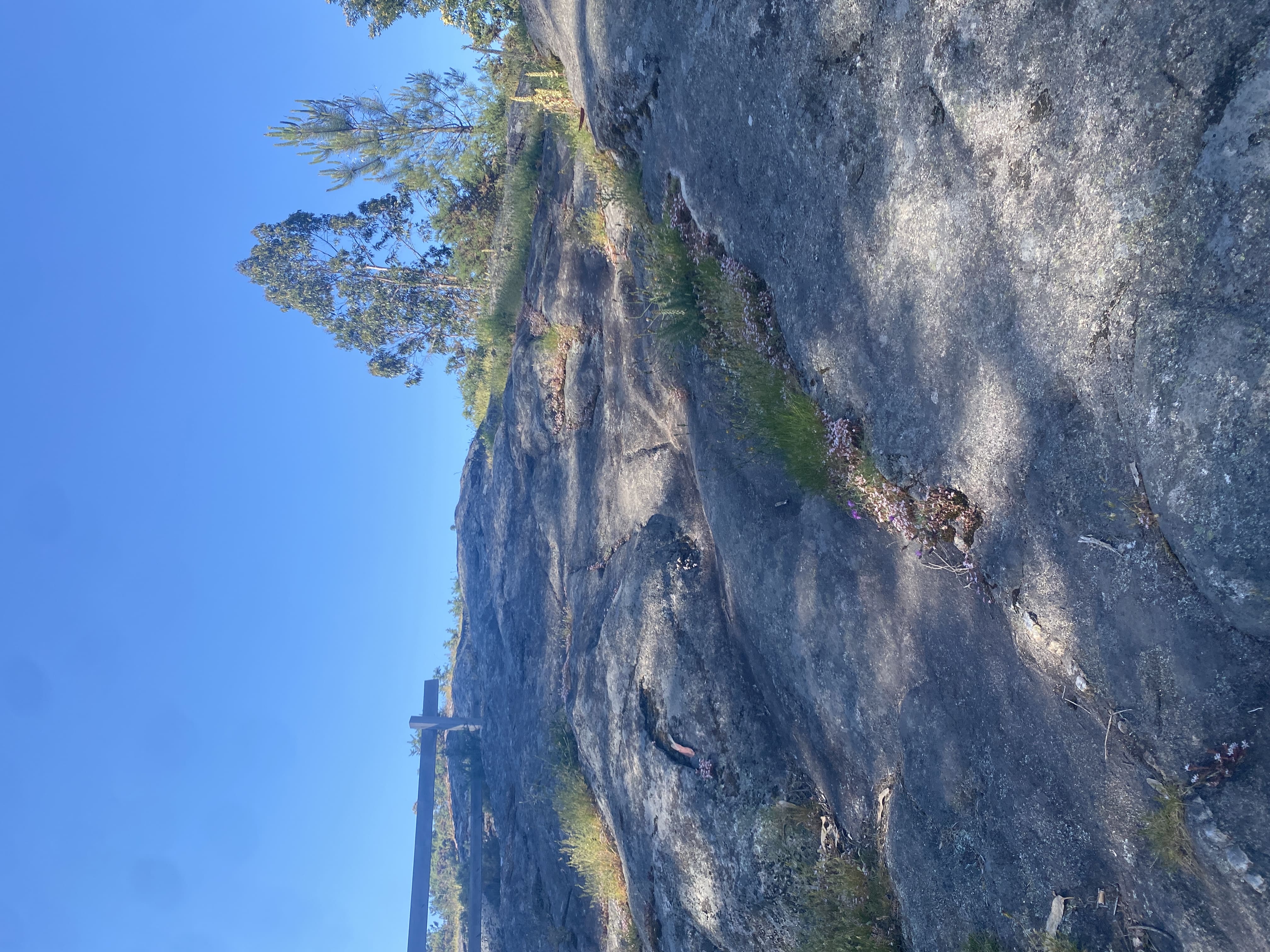 Petroglifos Poza da Lagoa 1