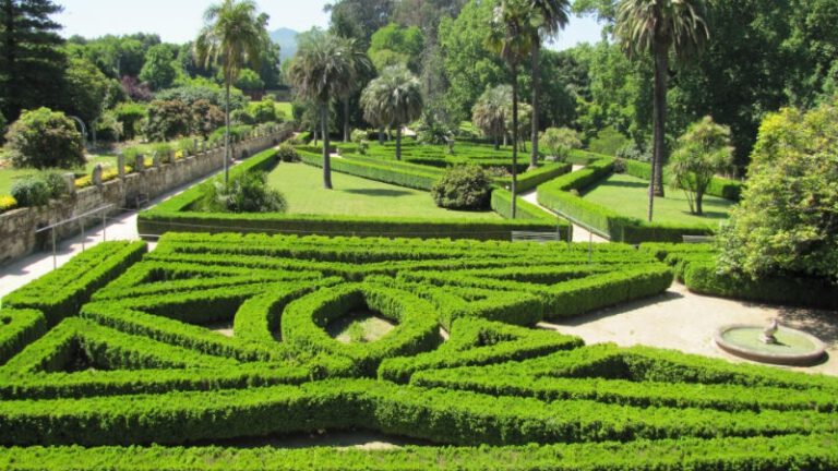 4d3cd33ab5a509d533d1dbbeaa290abb 1 768x432