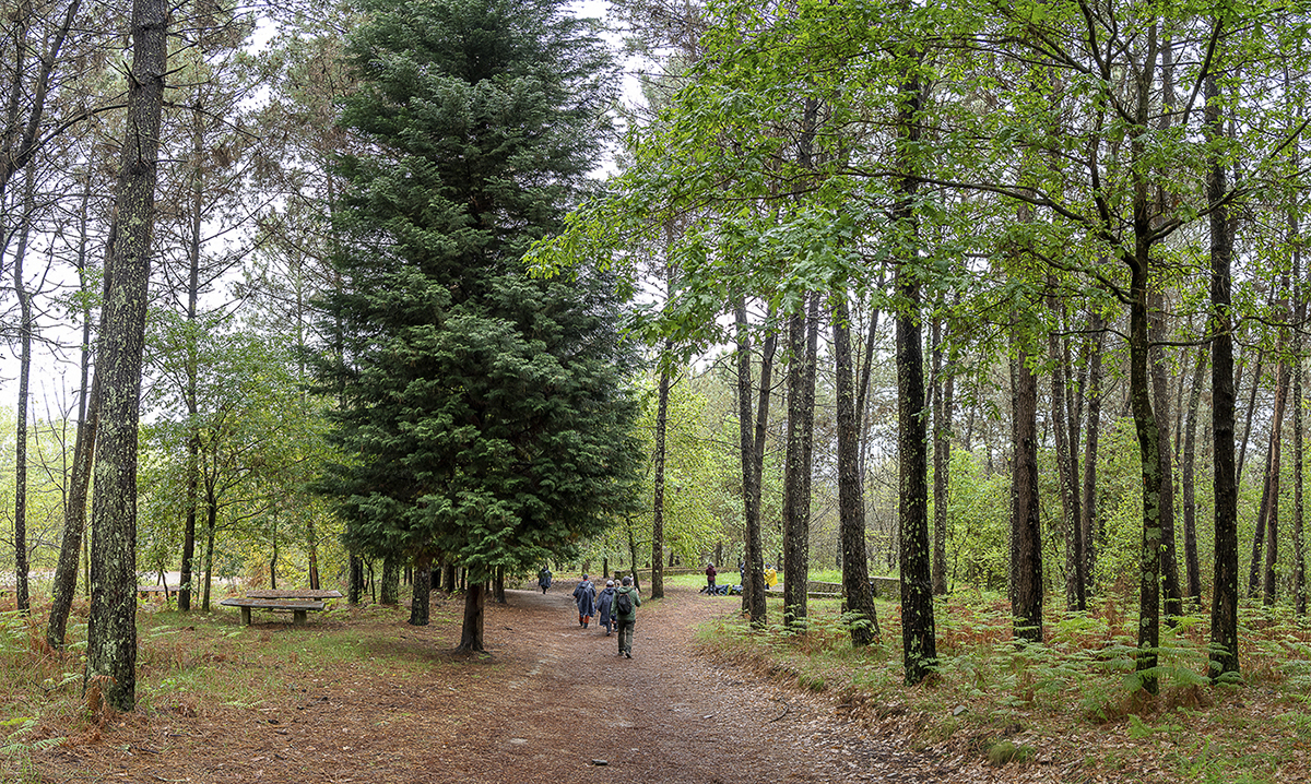 Chan das Pipas Saxamonde 2 1