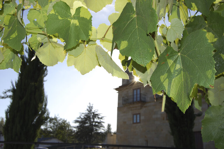 Conxunto Pazo de Mos Cruceiro A Rua 3 768x511