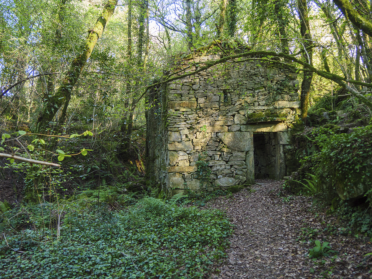 Fervenza da Feixa en Reboreda 2