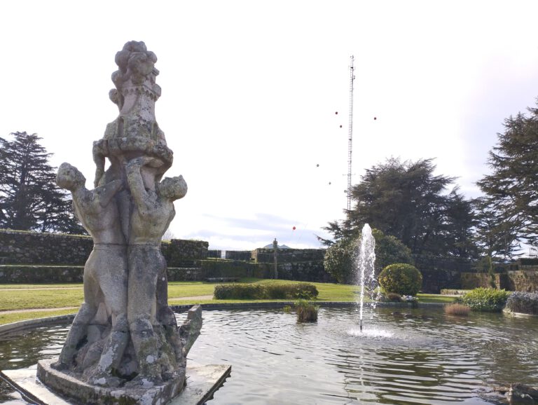 IMG 20240214 115333 768x578