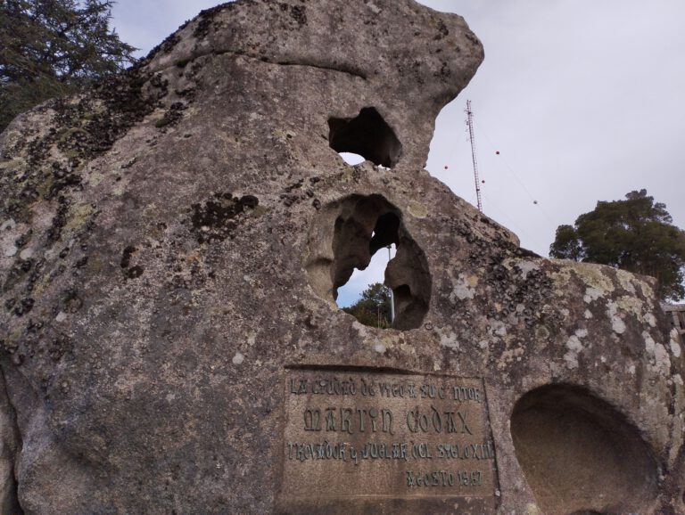 IMG 20240214 121801 768x578