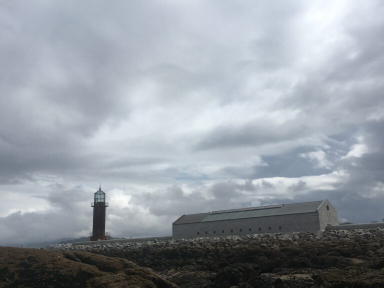 MuseoMar.Vigo  768x576