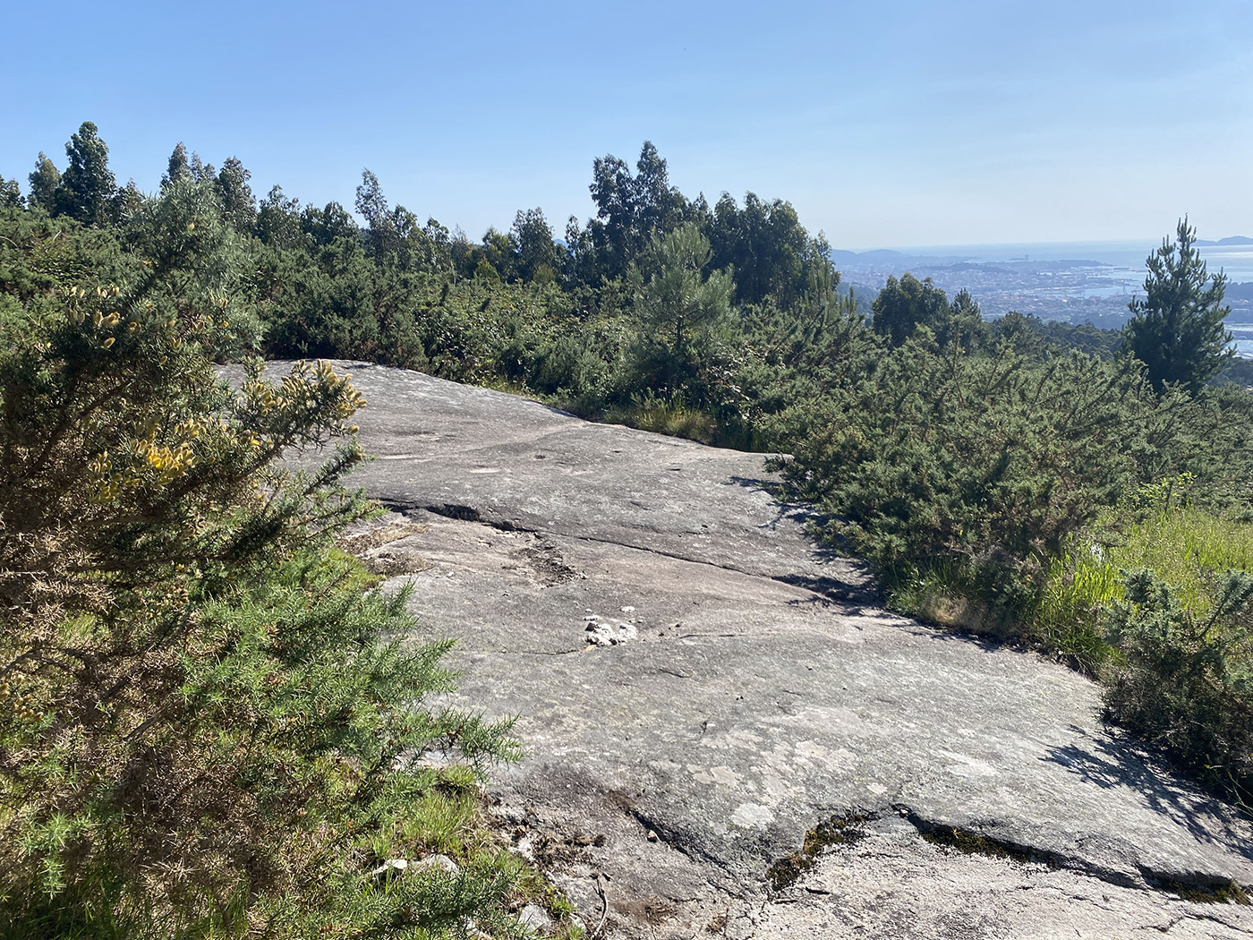 Petroglifo Poza da Lagoa