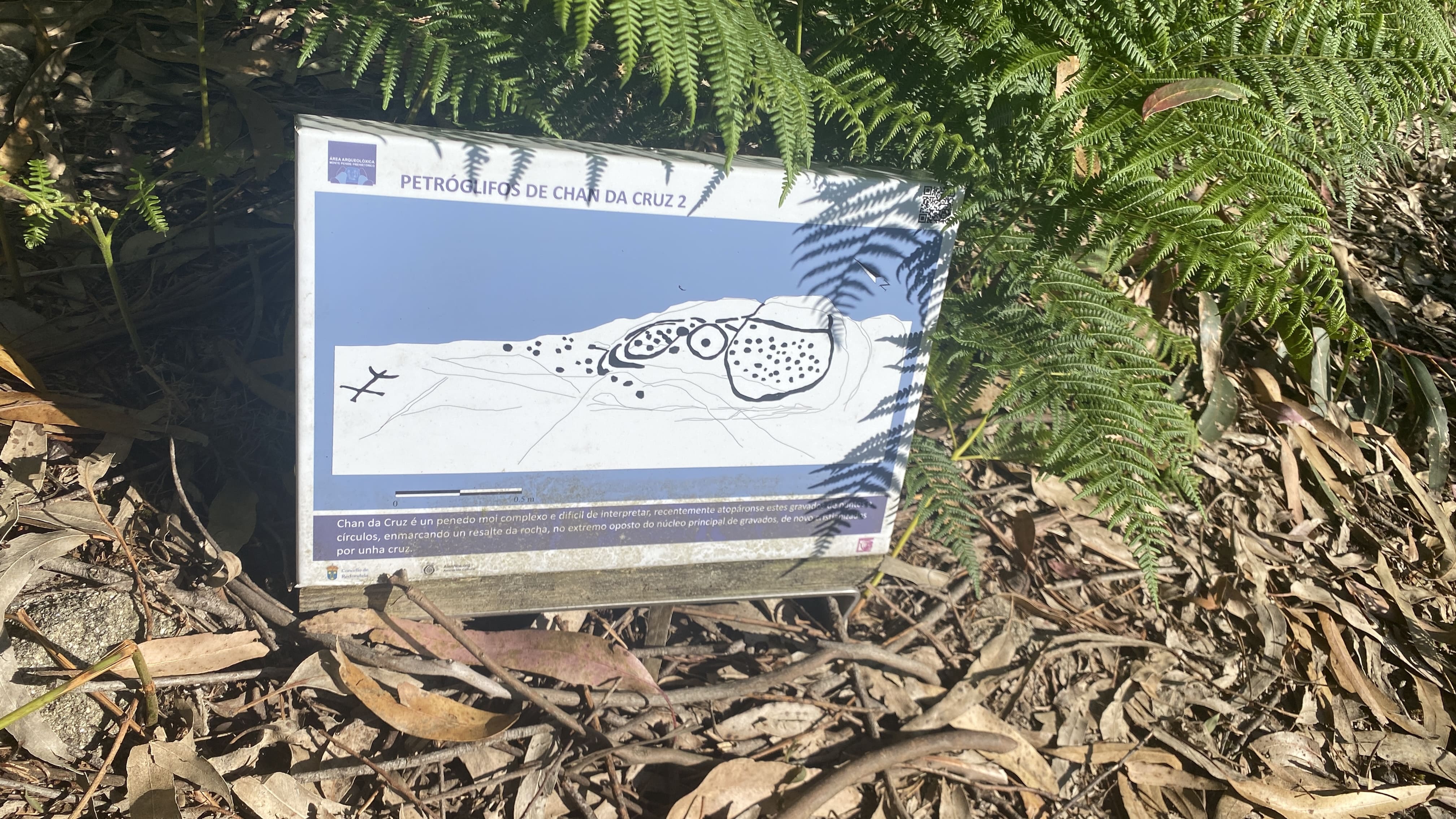 Petroglifos Poza da Lagoa 2 1