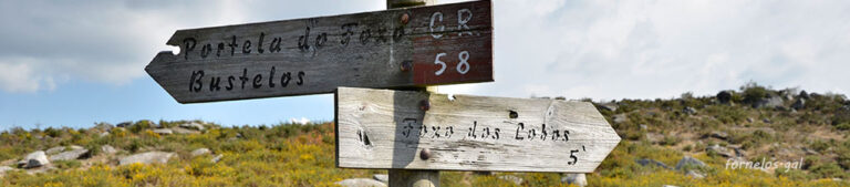 cartelfoxo cab 768x169