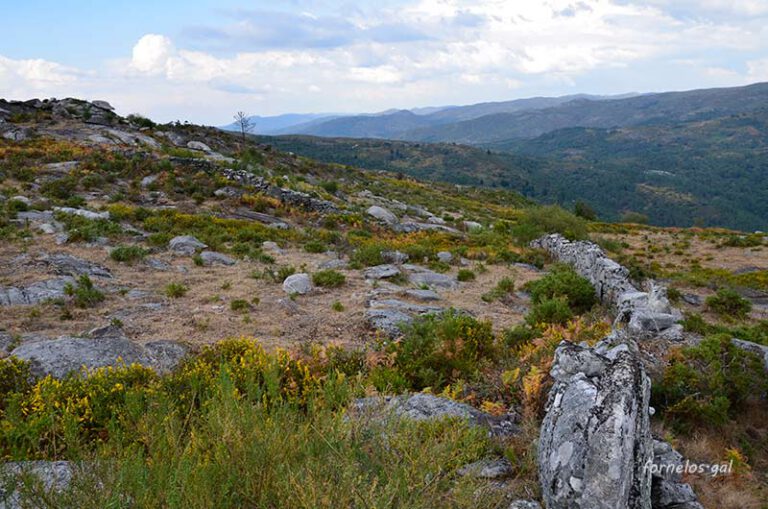 foxo dos lobos 768x509