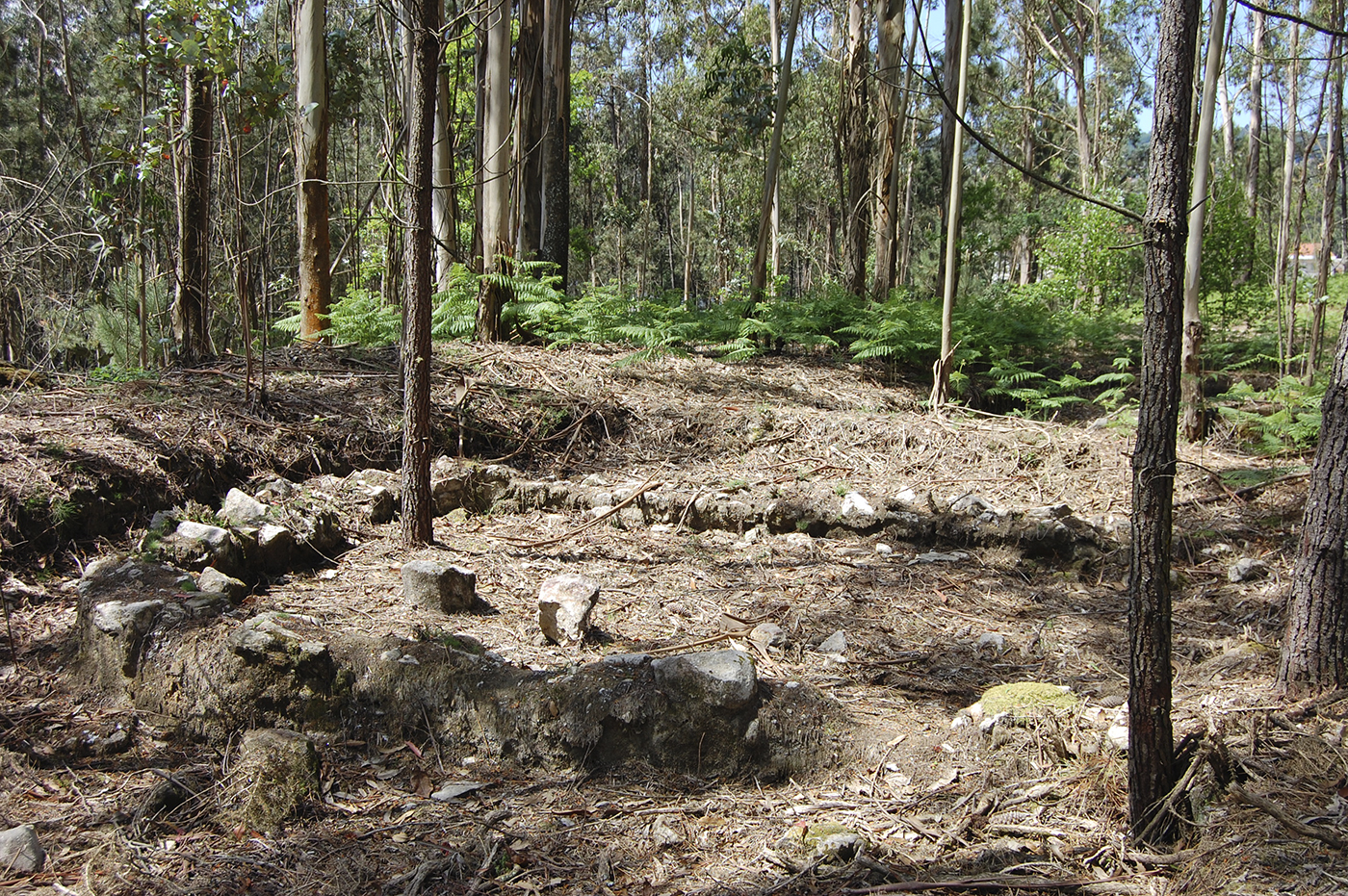 Castro de Torroso 3