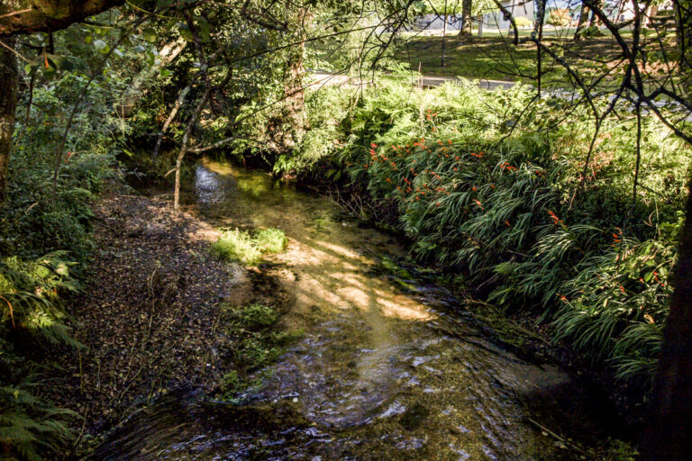 Gondomar ParqueCoelleira 7 1 768x512