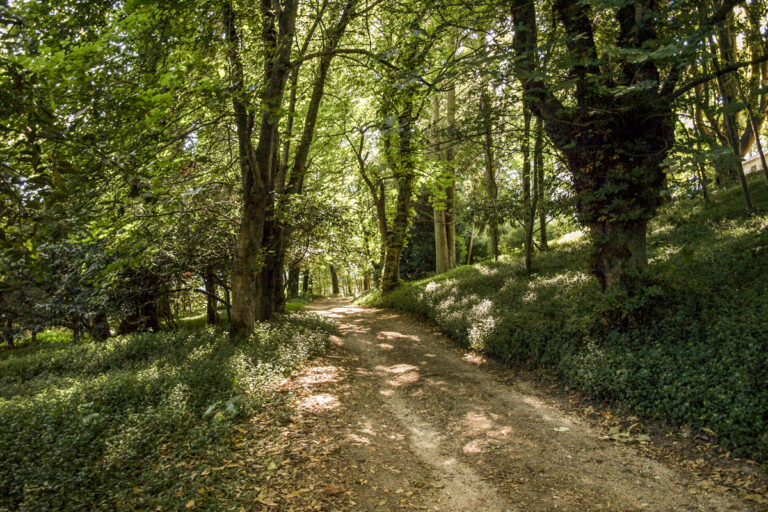 Gondomar PazoDoConde 1 1 768x512
