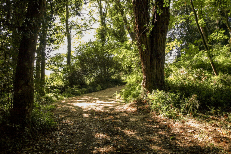 Gondomar PazoDoConde 2 768x512