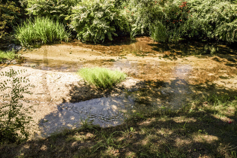 Gondomar PonteRomanaManufe 4 1 768x512