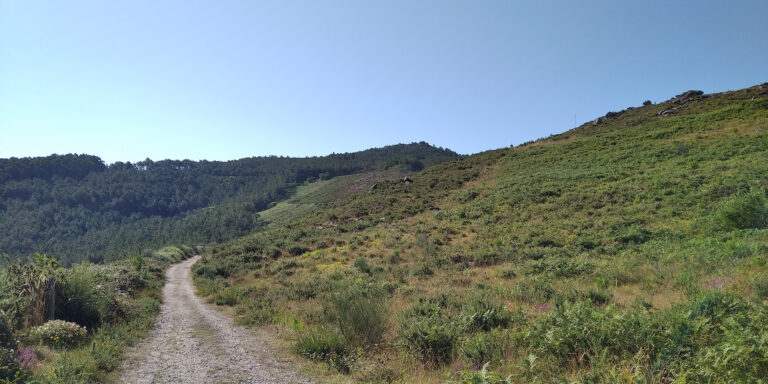 ZAMANS MONTE GALINEIRO 270726 1 768x384